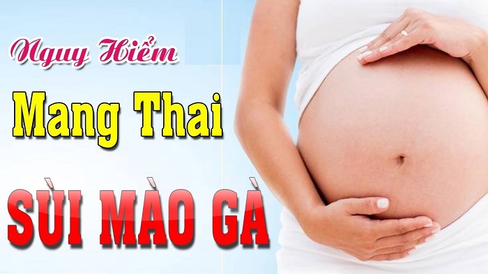 bi sui mao ga khi mang thai co nguy hiem khong